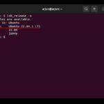 Как проверить версию Ubuntu (4 метода)