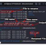 Как переименовать файл в Linux