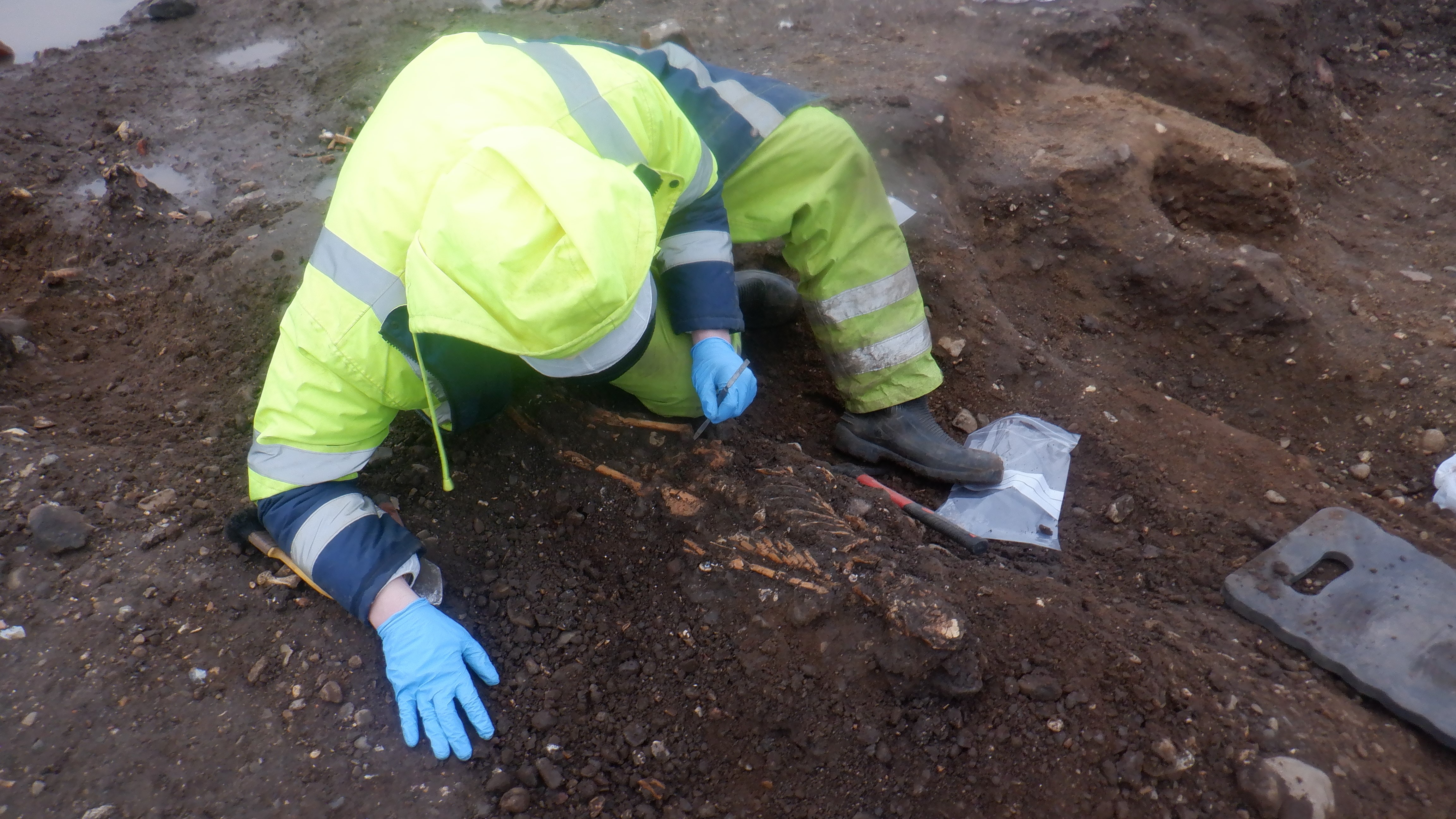 Археолог работает на средневековом кладбище в Каррикфергусе, Северная Ирландия.