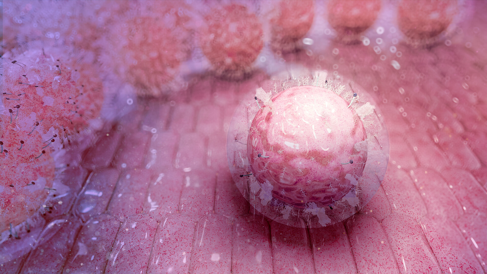 Стволовые клетки, о которых часто забывают, обладают скрытыми способностями к лечению заболеваний крови