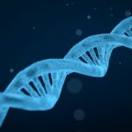 Исследователи обнаружили, что генетический вариант способствует различиям в риске детской лейкемии