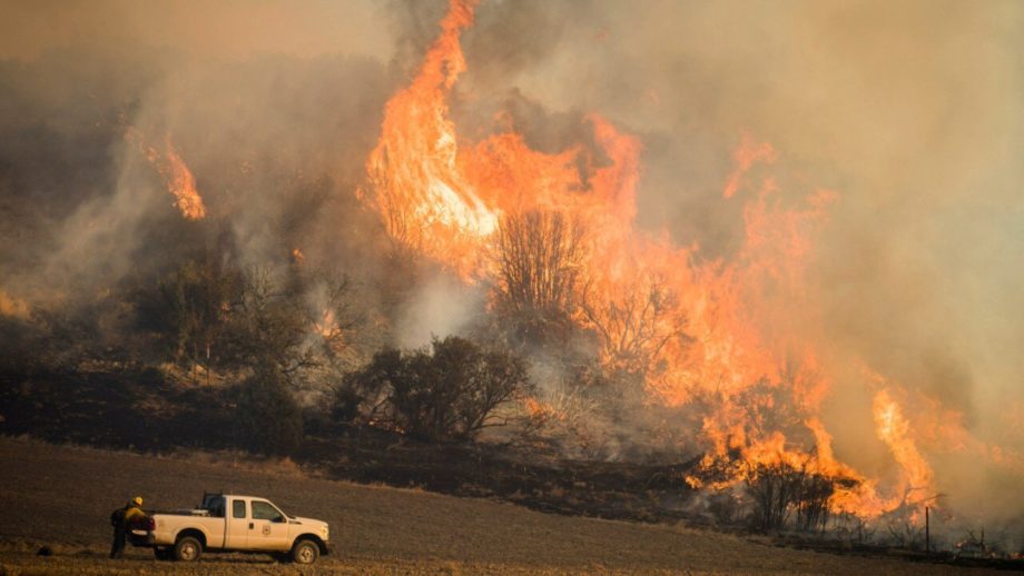 Спутниковые данные показывают, как засуха меняет восстановление лесных пожаров на Западе