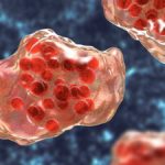 illustration of large, pink measles virus cells against blue background