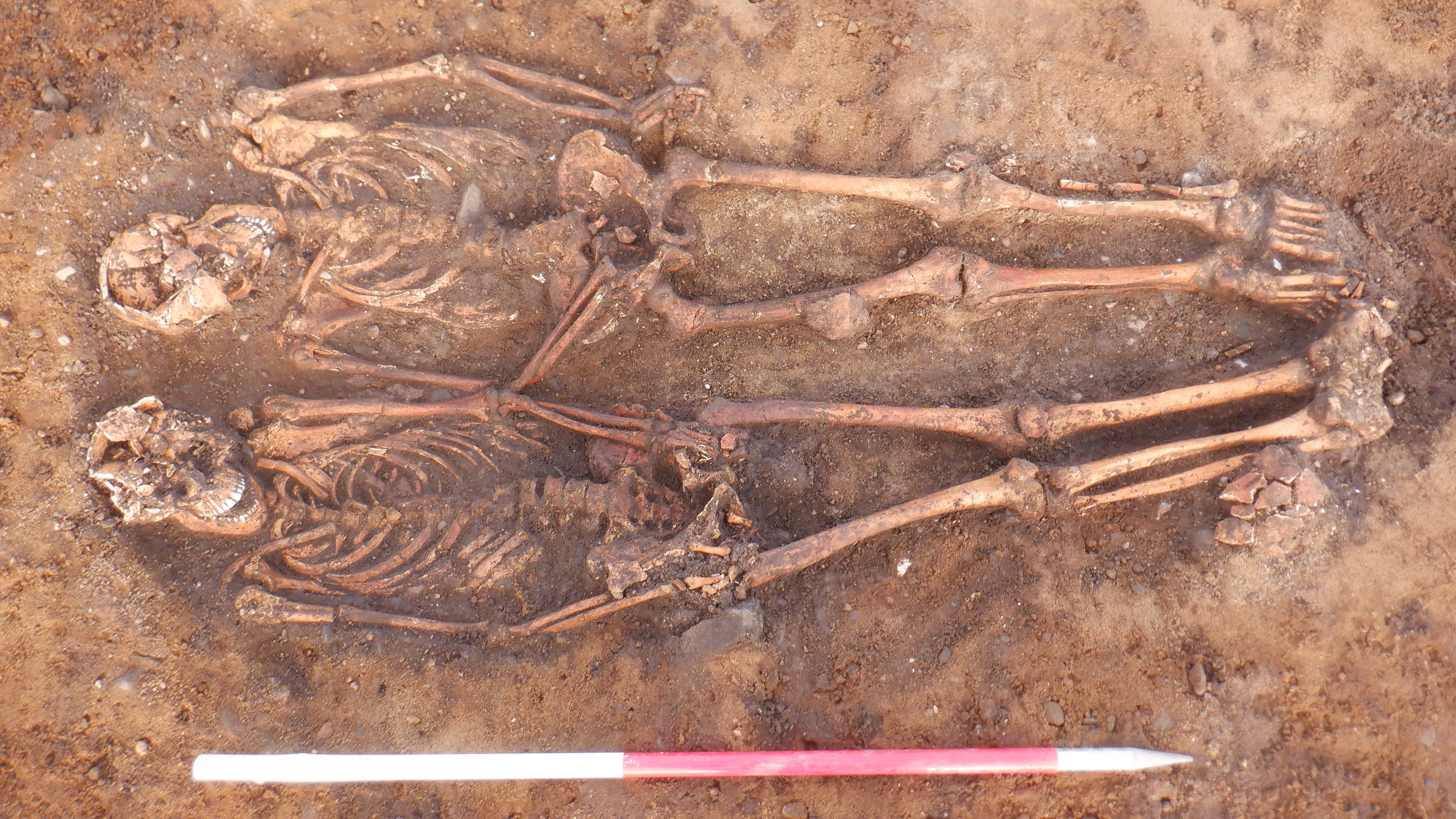 Два человеческих скелета похоронены рядом на средневековом кладбище.