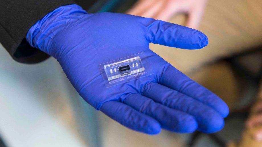 Microfluidic devices being built in RIT engineering laboratories are being explored as new options for data storage on DNA. RIT researchers have discovered the means to bridge biology and data.