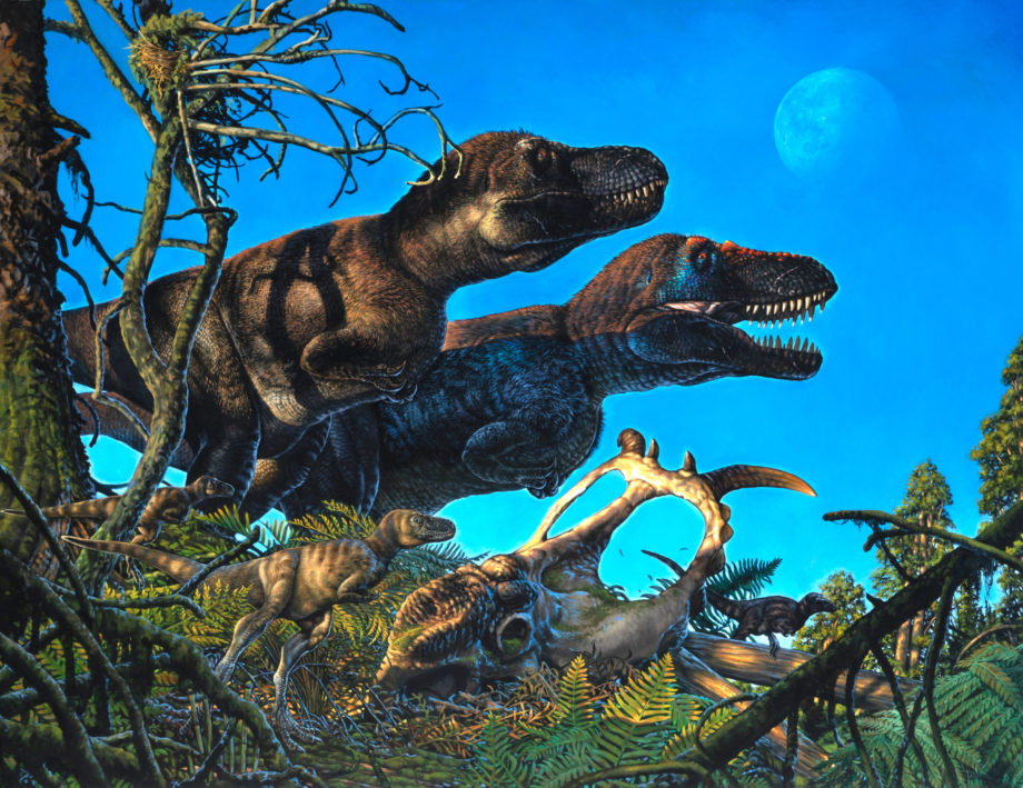 Исследование динозавров бросает вызов правилу Бергмана