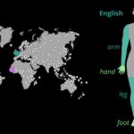 Исследователи разрабатывают алгоритмы, чтобы понять, как люди формируют словарный запас частей тела