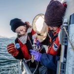 Как волны тепла влияют на арктический фитопланктон