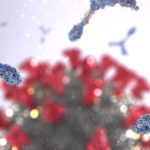An illustration of Y shaped antibodies in front of a coronavirus particle, blurred in the background