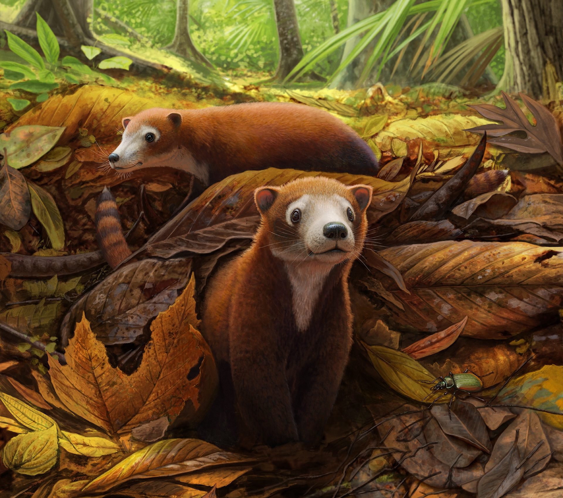 Иллюстрация двух пушистых существ в куче листьев в лесу.