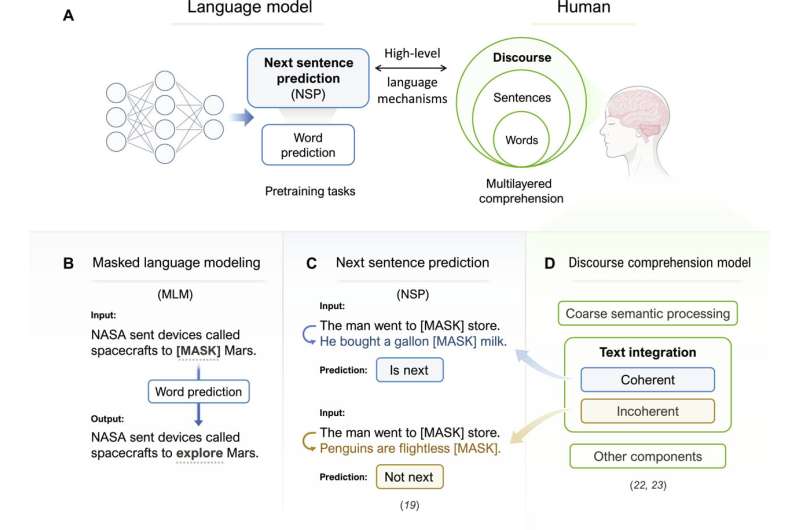 Улучшение больших языковых моделей ИИ помогает лучше согласовывать их с деятельностью человеческого мозга