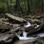 Water flows from Rock Run in the Loyalsock State Forest. The park