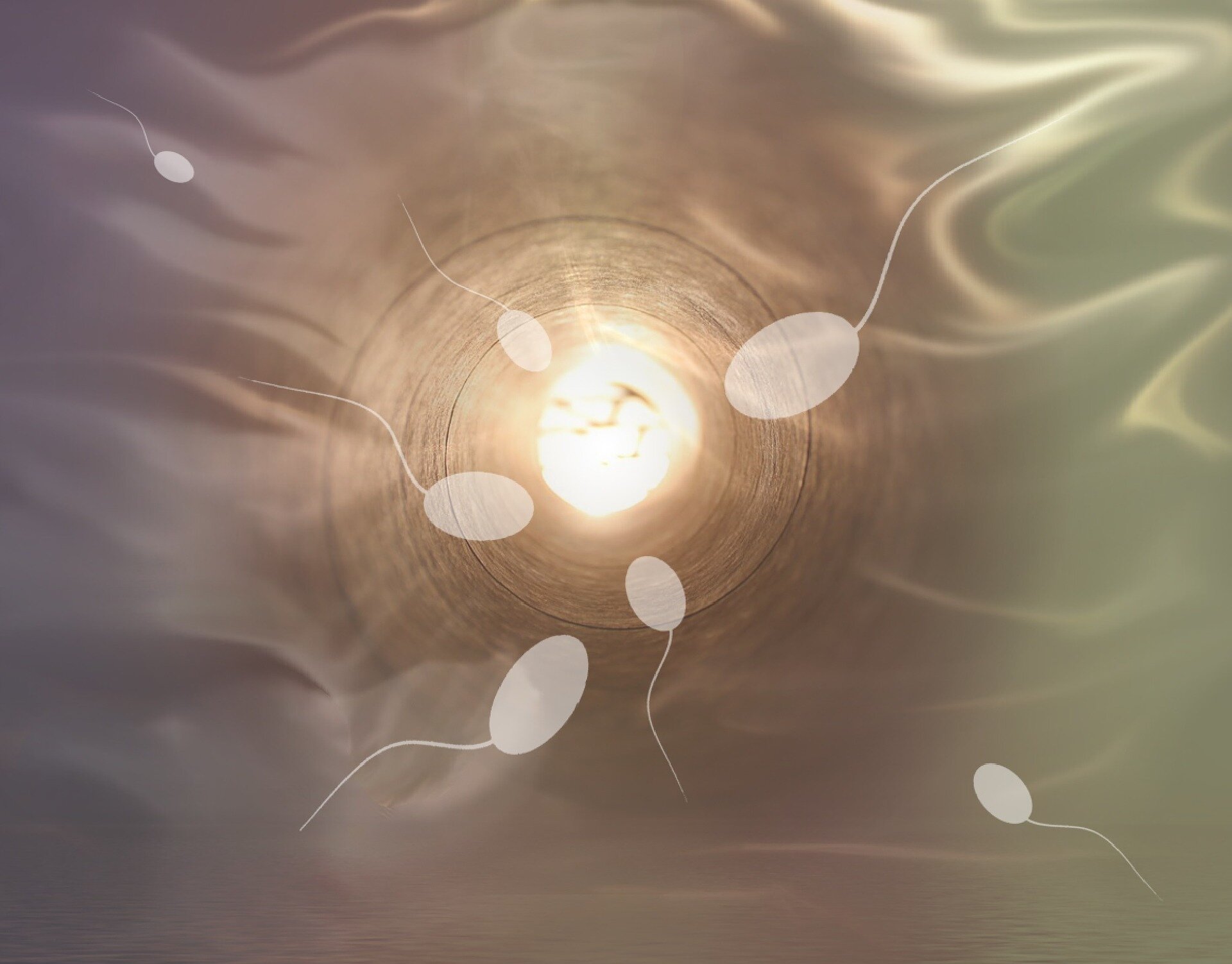Исследователи не нашли доказательств того, что количество сперматозоидов падает