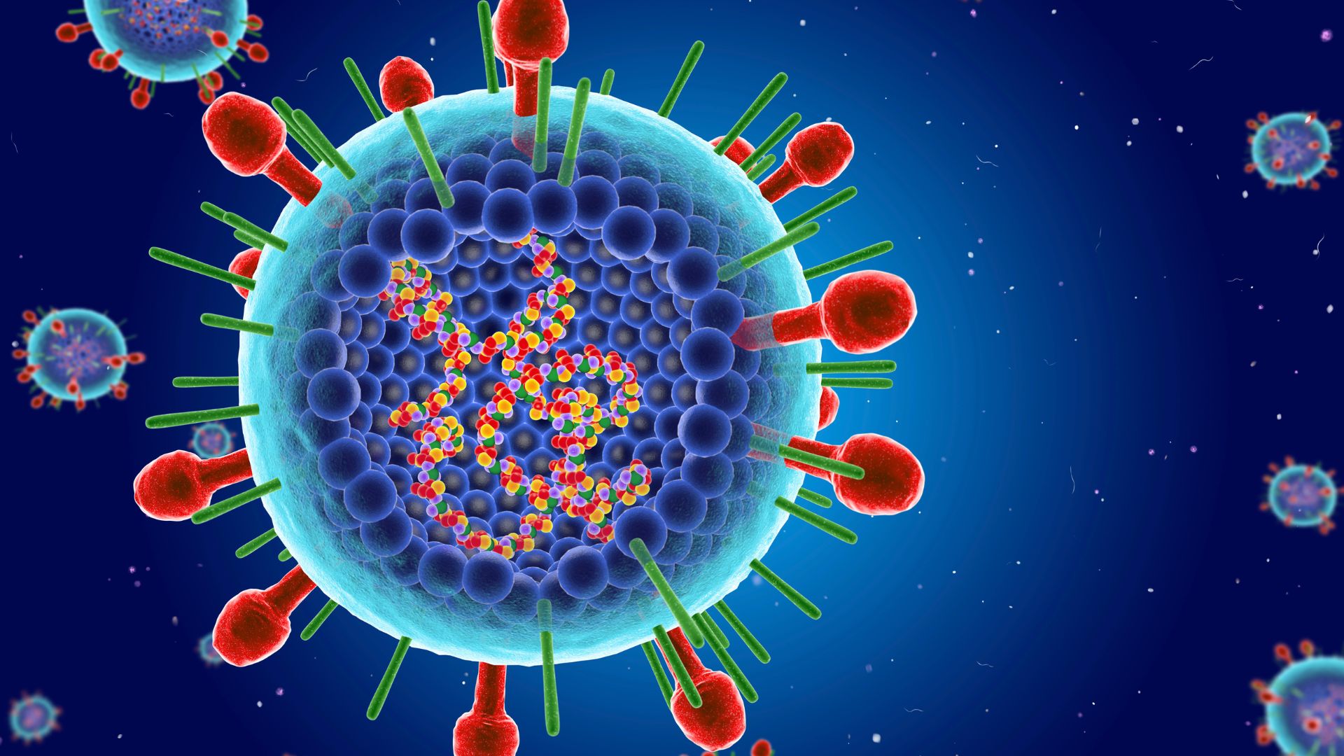 красочная иллюстрация вируса РСВ, на которой вы можете увидеть свернувшийся внутри генетический материал