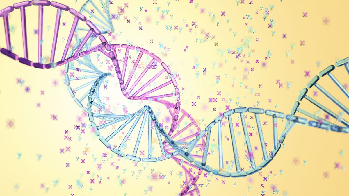 Почему генетическое тестирование не всегда может определить пол ребенка