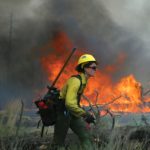 Прогнозы климата показывают уменьшение возможностей для преднамеренных пожаров